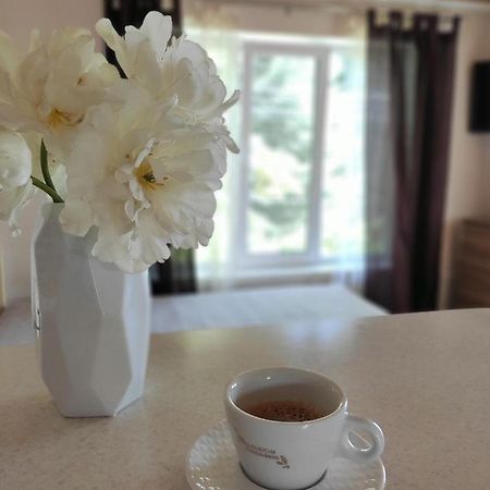 Guest House Odessa Sea エクステリア 写真