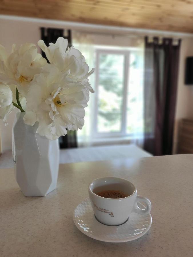 Guest House Odessa Sea エクステリア 写真